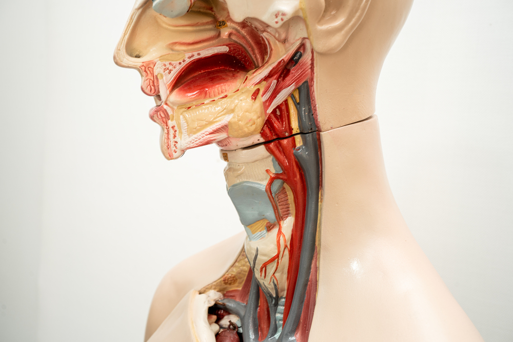 Beneficios Clave del Procedimiento de Contorno Mandibular